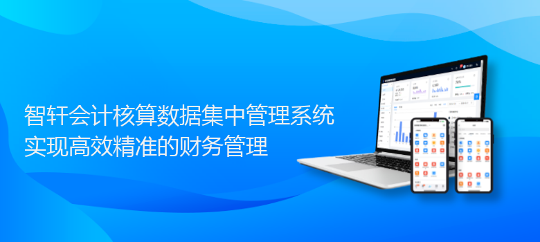 会计核算数据集中管理系统